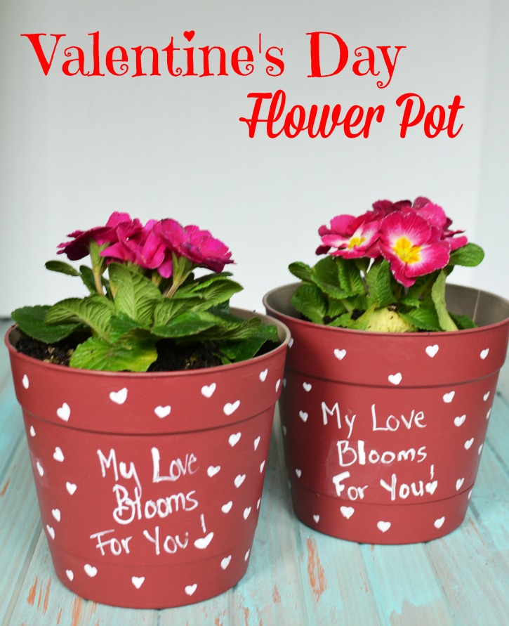 Valentines Day Flower Pot