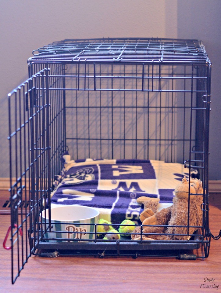An Easy DIY Dog Bed Simply {Darr}ling