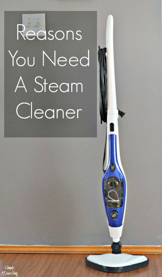 Reasons you Need a Steam Cleaner