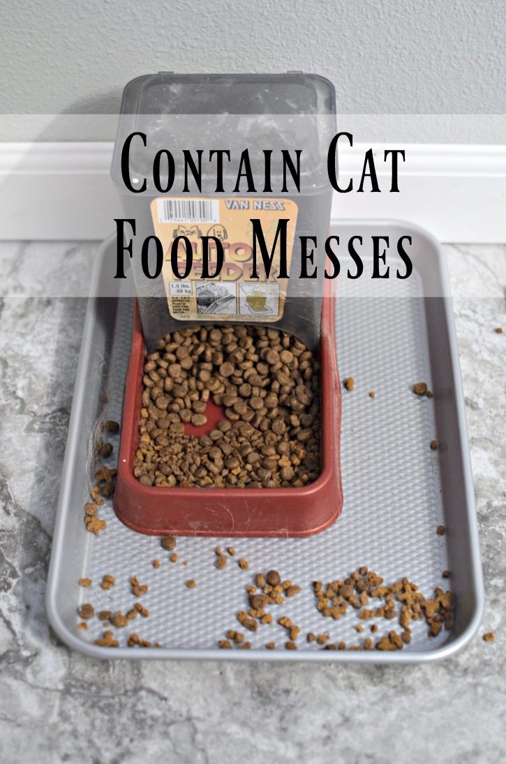 Contain Cat Food Messes - Life Hack