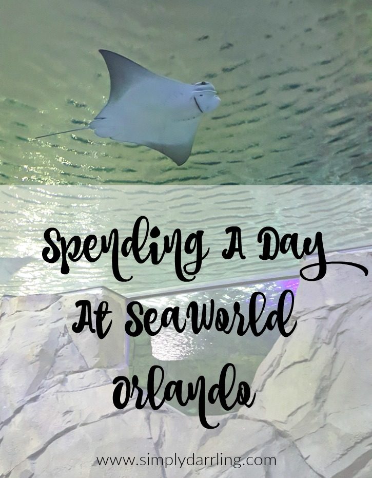 Spending A Day At SeaWorld Orlando