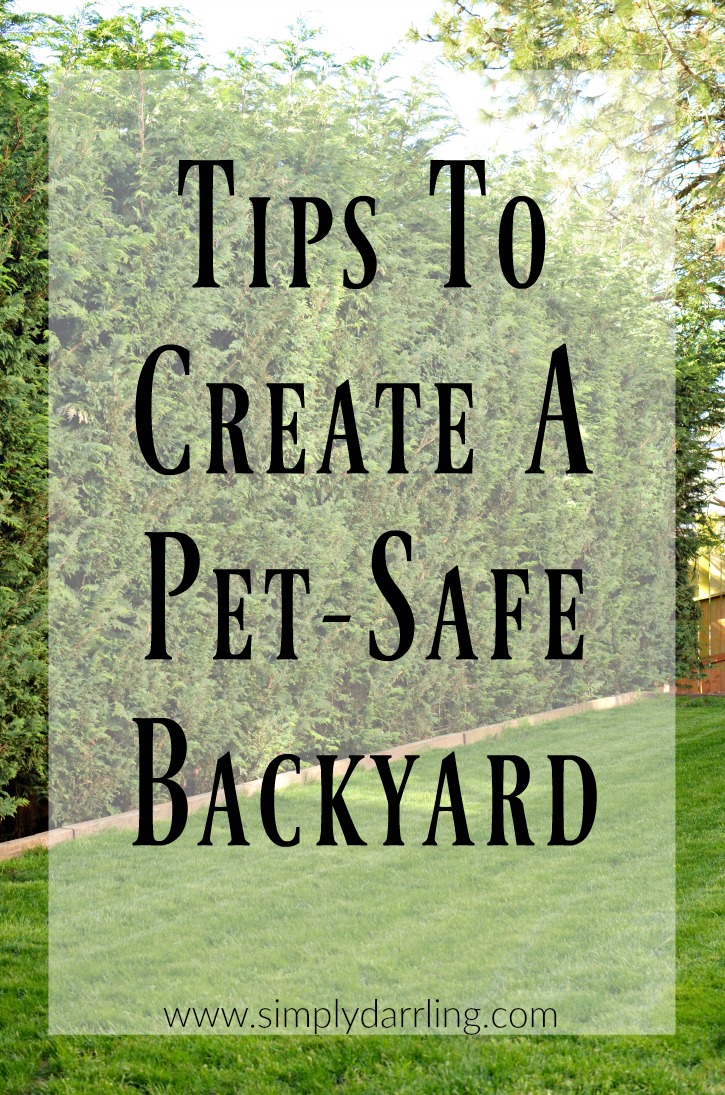 Tips To Create A Pet-Safe Backyard
