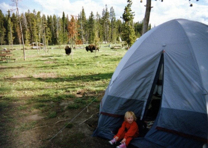 Camping in Yellowstone - 1989 with buffalo in the background
