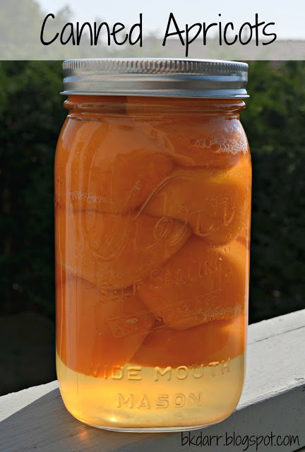 Canning Apricots