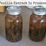 Homemade Vanilla Extract & Vanilla Sugar