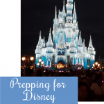 Tips to Prep for Disney