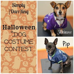 Halloween Dog Costume Contest #shop