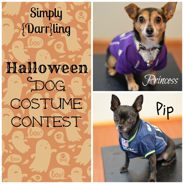 Halloween Dog Costume Contest