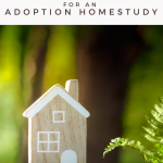 Open Adoption Babyproofing for the homestudy