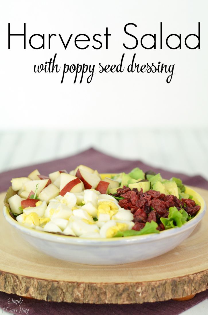 Harvest Salad with Poppy Seed Dressing