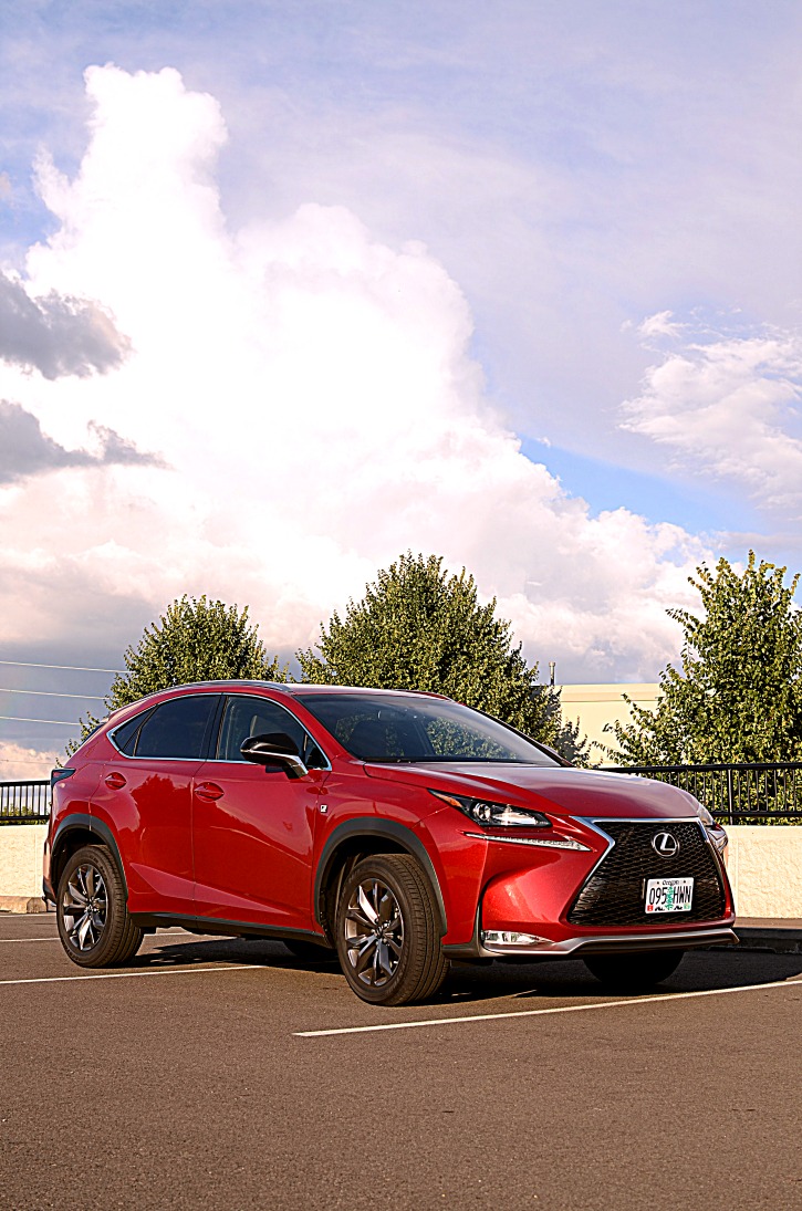 2016 Lexus NX200t F Sport - Simply {Darr}ling