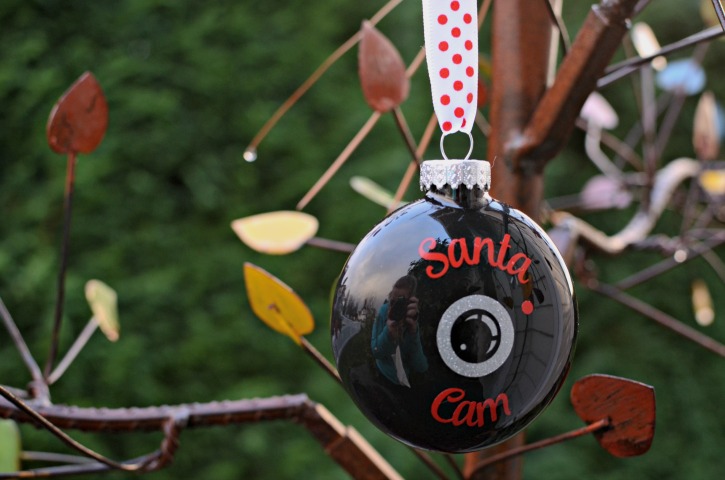 Diy Santa Cam Ornament Simply Darr Ling