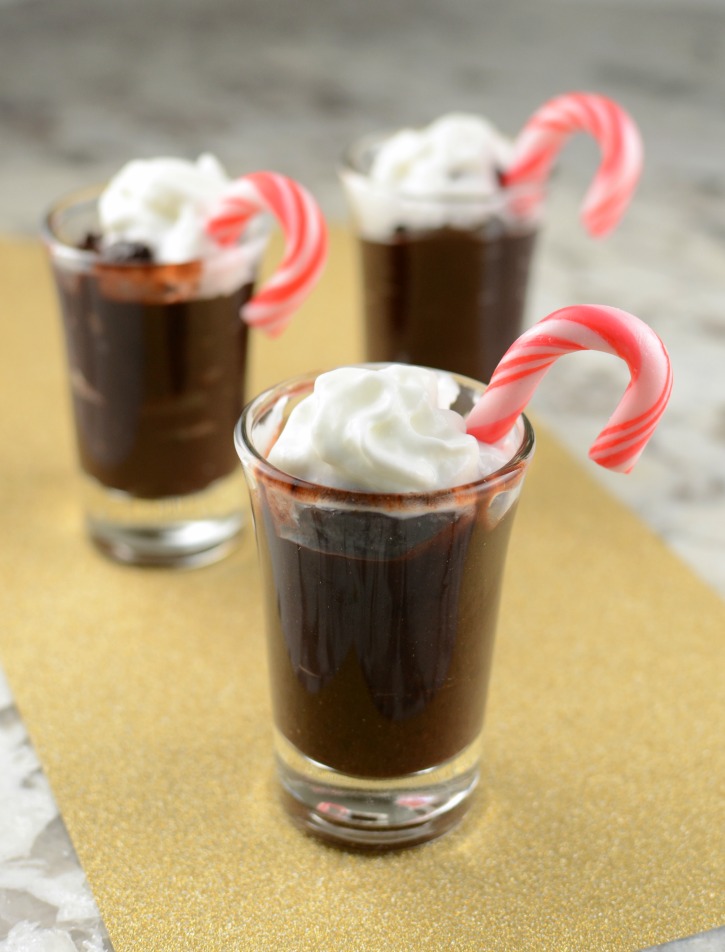 Individual Peppermint Chocolate Pudding Desserts