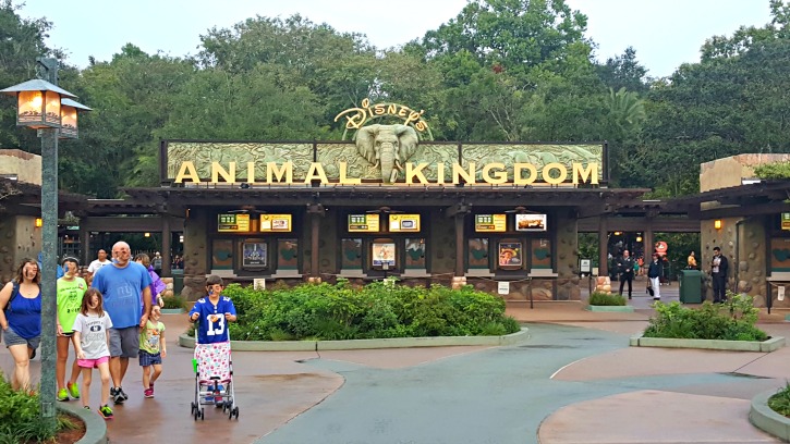 One Day At Animal Kingdom With A Toddler - Simply Darrling