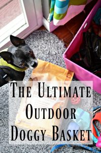 Ultimate Outdoor Doggy Basket with Purina Beyond