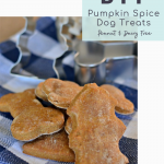 Peanut Free Pumpkin Spice Dog Treats