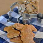 Peanut Free Pumpkin Spice Dog Treats