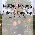Visiting Disney's Animal Kingdom As An Adult
