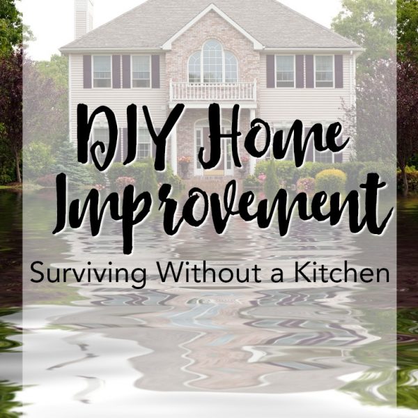 DIY Home Improvement – Surviving Without a Kitchen