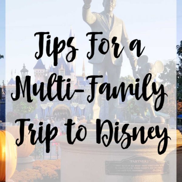 Tips For A Multi-Family Trip to Disney