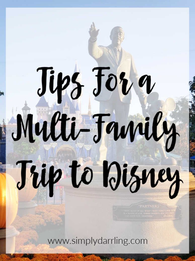 Multi-Family Trip to Disneyland