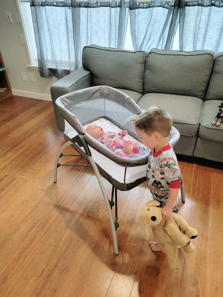 toddler looking at baby in bassinet