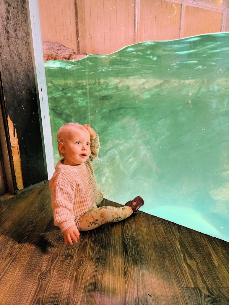 A young toddler girl sitting on the floor looking into a tank at the aquarium