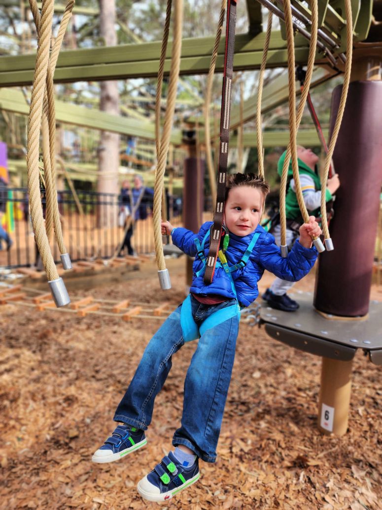 A toddler boy on the small ropes course at the Atlanta Zoo