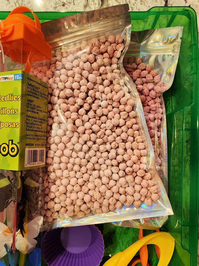 A bag of dried chickpeas sit in a box surrounded by tools, such as plastic tweezers.