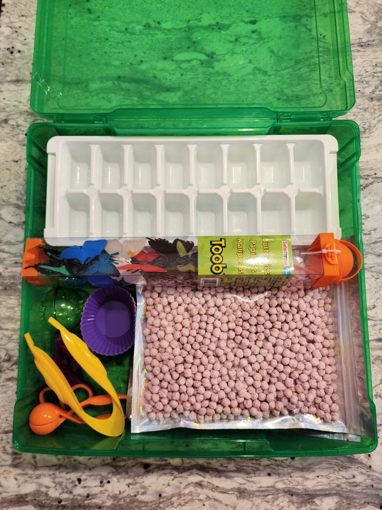 A green plastic 12x12 box with sensory bin items inside. These items include an ice cube gray, dried chickpeas, butterfly figurines, tweezers, and cupcake liners.