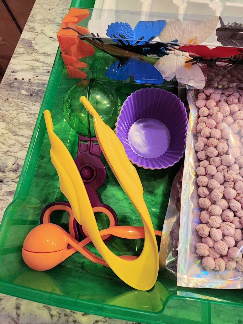 Plastic sensory tools - tweezers, ball tweezers, and see-through ball tweezers.
